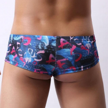 Men Underwear Sexy Low Waist U Convex Bulge Pouch Briefs Printed Mesh Male Panties Cueca Tanga Comfortable Soft Underpants