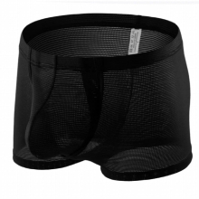 Mens Low Rise Fine Mesh Breathable Open Range Briefs Transparent Sexy Drawers Mesh Raised Pocket Underwear