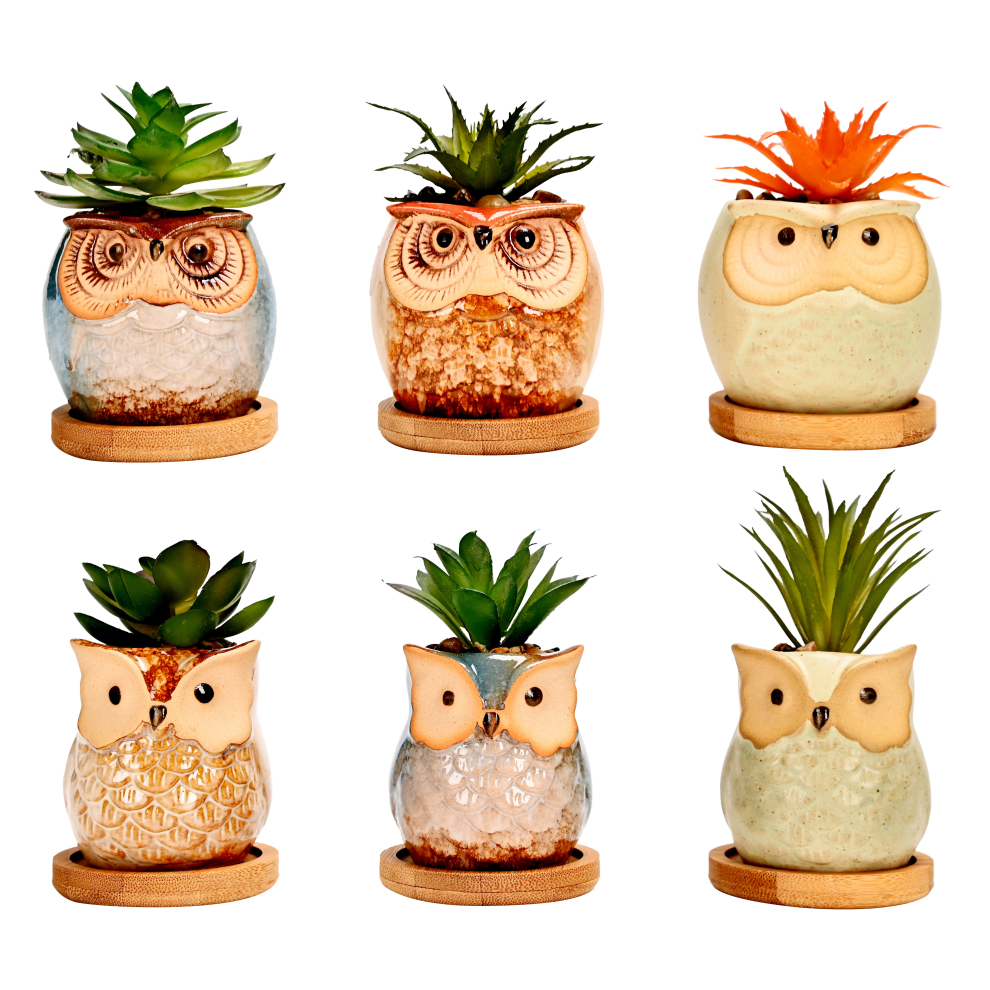 (Mixed Shape Owls) simpa 6PC Decorative Owl Themed Ceramic Plant Pots