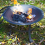 La Hacienda Boston Steel Firepit 5