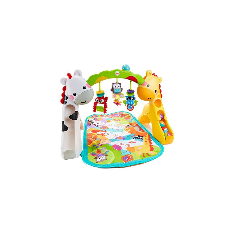 Fisher-Price Newborn-To-Toddler Play Gym