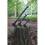 Spear & Jackson 7706FG Razorsharp Cutting Axe, 600g 2