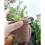 100 Pcs 8 cm Biodegradable Fibre Seed Pots for Seedling with 100 Pcs Plastic Plant Color labels, 2 x 10 cm Plant label pen 5