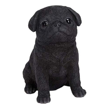 | Pet Pals Black Pug Puppy | Resin Home or Garden Decoration | PP-BPUG-F