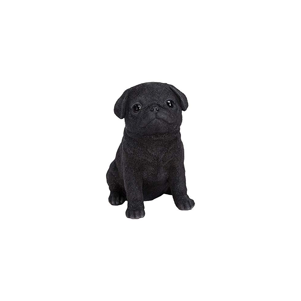 Vivid Arts | Pet Pals Pug Puppy | Resin Home Or Garden Decoration | Pp-Bpug-F Black