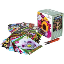Flower Seed Box Bumper Pack Includes 40 Different Varieties Aster, Cosmos, Sunflower, Poppy, Pansy and More Plus 1 Pair of Garden Snips, Ideal Gift, 1