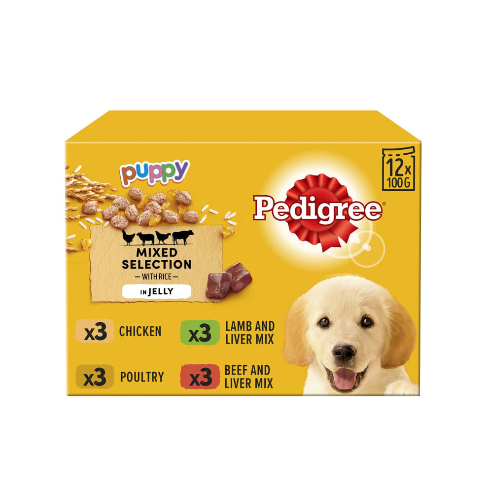 Pedigree Dog Food in Jelly Vital protection100% complete nutrition12pk