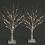 NETTA (White, Set of 2) NETTA 60cm Twig Birch Tree with Warm White LEDs 1
