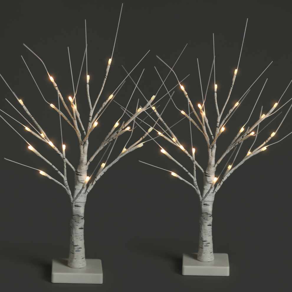 (White, Set of 2) NETTA 60cm Twig Birch Tree with Warm White LEDs