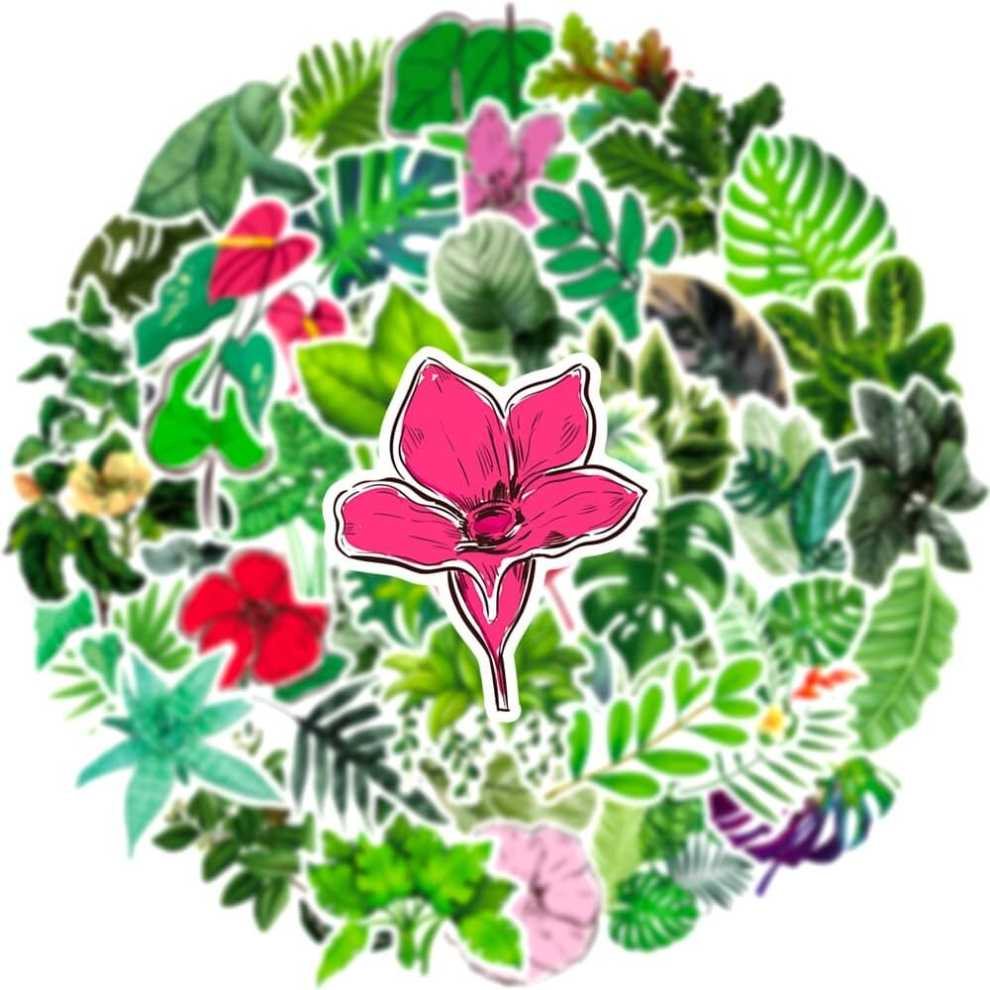 50 Packs Green Plant Turtle Leaf Stickers Water Bottles Laptop Phone Guitar Skateboard Hydroflasks Potted Floral Vinyl Waterproof Aesthetic Decals