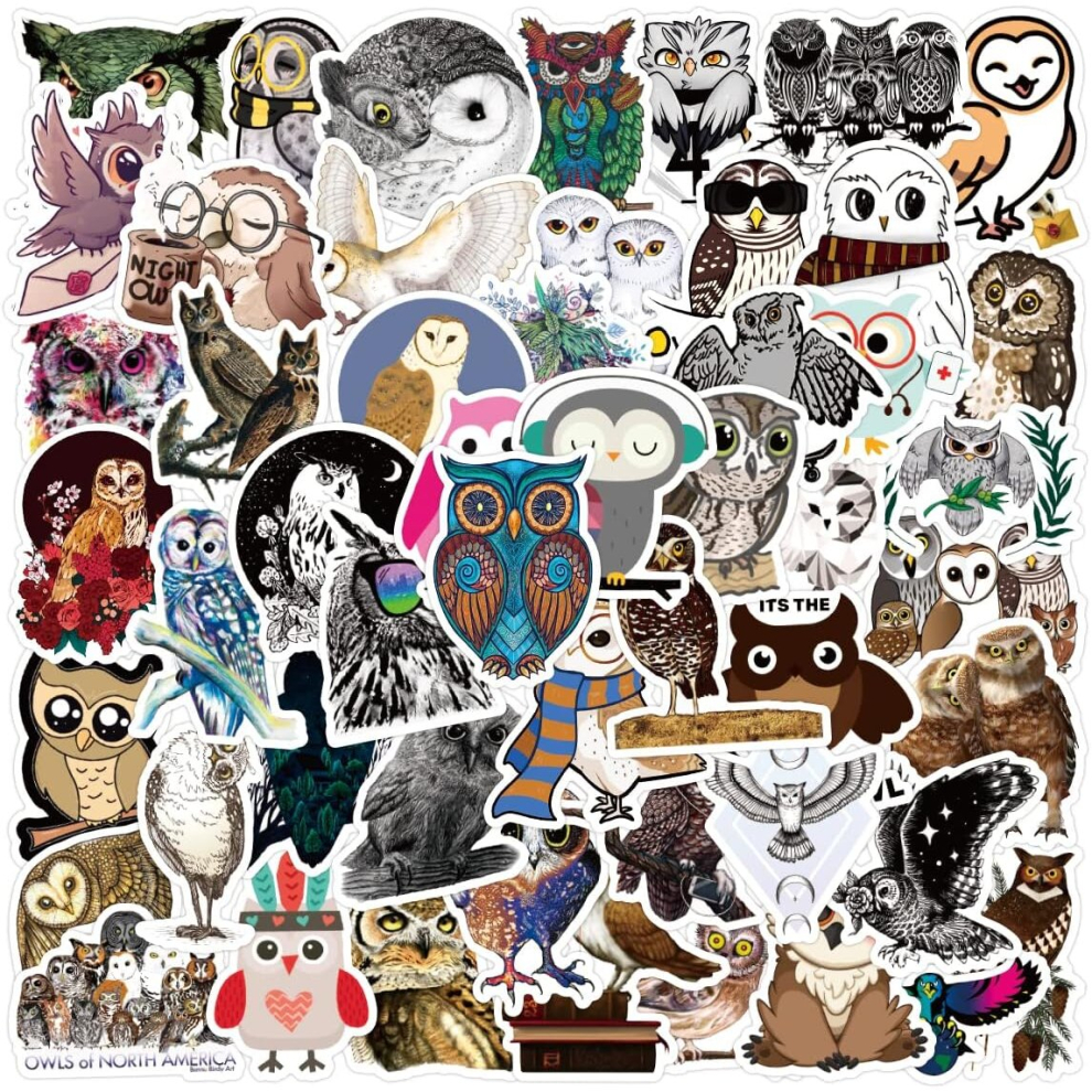 50Pcs Owl Stickers for Water Bottle Laptop Skateboard Luggage Guitar Car Motorcycle Bike Vinyl Waterproof Owl Sticker Pack Suitable for Teens Adults