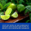 Baylis & Harding Citrus, Lime & Mint Men's Refreshing Essentials Trio Gift Set - Vegan Friendly 5