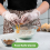 [100 Pack] Clear Powder-Free Vinyl Disposable Plastic Gloves - Medium 4