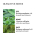 Molton Brown MOLTON BROWN EUCALYPTUS 10 OZ BAD & DOUCHESCHUIM 2