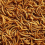 Premium Dried Mealworms, 5L Bag 1