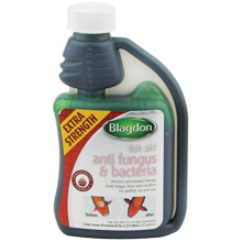 Blagdon Extra Strength Anti Fungus & Bacteria Pond Treatment 250ml (2808) for Goldfish, Koi & Carp - Fin Rot & Mouth Rot