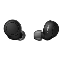 WF-C500 True Wireless Headphones (Up to 20 Hours Battery Life with Charging Case - Compatible with Voice Assistant, Built-in Microphone for Phone