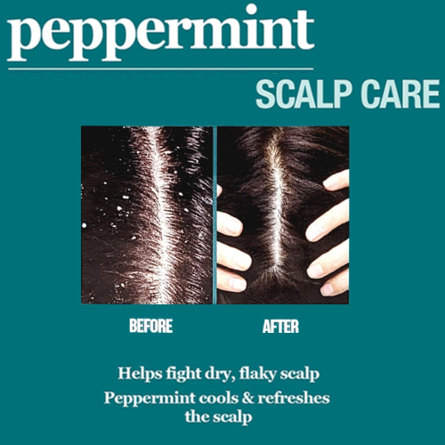 Maschera per capelli Difeel Peppermint Scalp Care 12 oz. 2