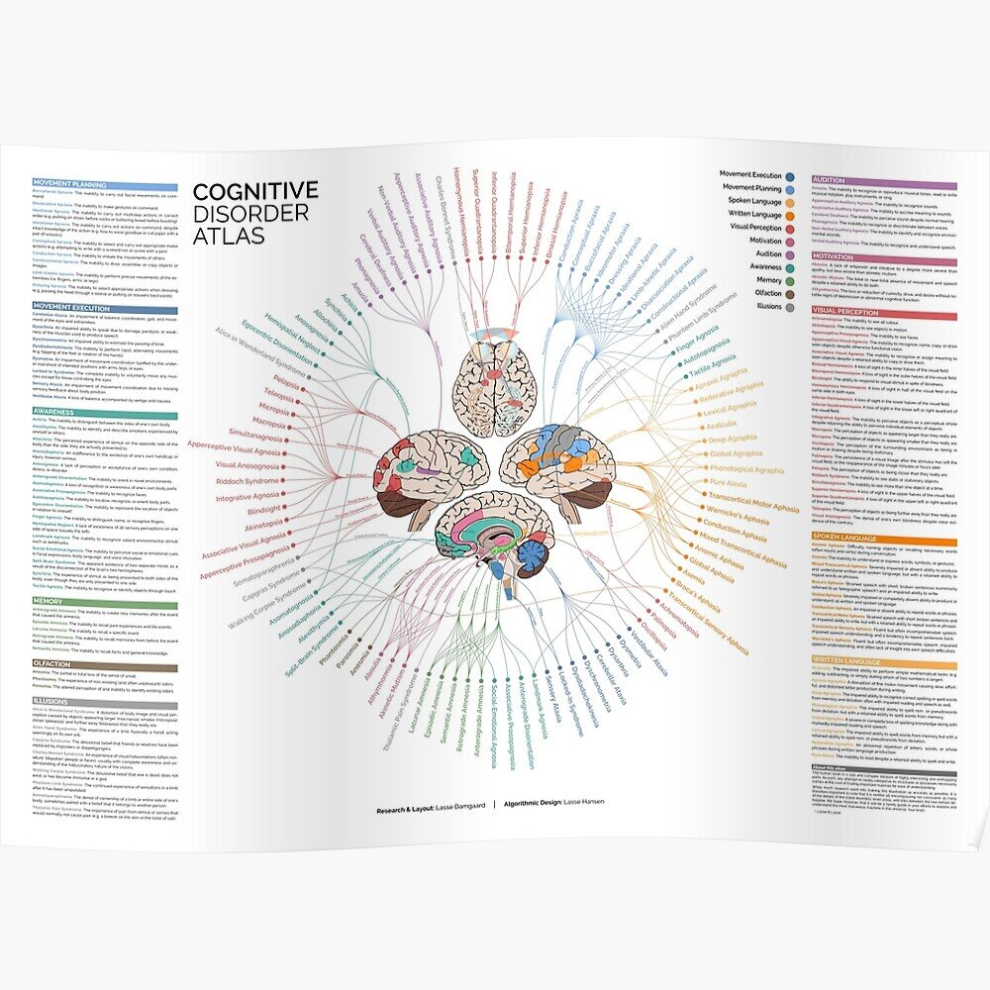 Posters Cognitive Disorder Atlas - Explained 16x20 inch or 20x20 inch Wall Art Soccer Print