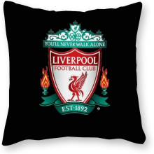 Liverpool Cushion Pillow - Pop Art - Canvas Pillowcase Single - Without Filling pad - 40x40cm (Cover only)