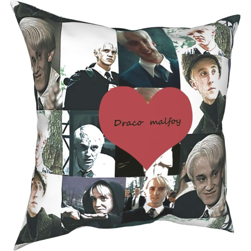 Draco Malfoy Throw Pillow Funny Pillowcase Draco Malfoy Funny Gag Gifts Xmas Birthday Gift 18x18 (Twin Sides)