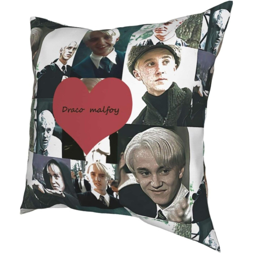 Draco Malfoy Throw Pillow Funny Pillowcase Draco Malfoy Funny Gag Gifts Xmas Birthday Gift 18x18