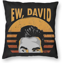 Ew David-Rose Schitts-Creek Funny Vintage Cushion Cover Chair Cushion Cartoon Bed Pillow Car Seat Cushion Throw snooy 50cm*50cm Cushion Covers