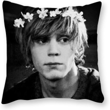 Tate Langdon Cushion Pillow - Pop Art - Canvas Pillowcase Single - Without Filling pad - 40x40cm (Cover only)