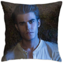 Stefan Salvatore Pillow Covers Pillow Cases Indoor Outdoor (18x18 Inch)