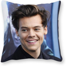 Harry Styles Cushion Pillow - Pop Art - Canvas Pillowcase Single - Without Filling pad - 40x40cm (Cover only)