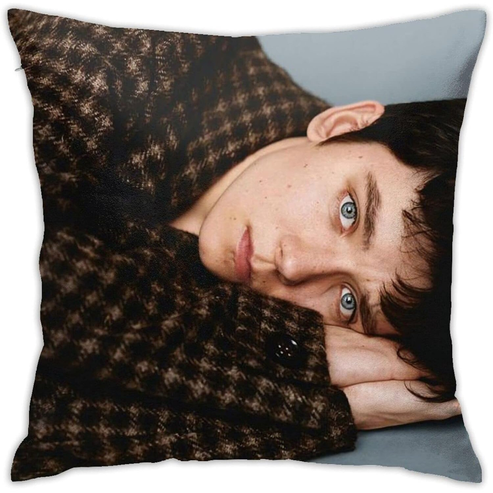 ASA Butterfield Pillow Covers Pillow Cases Soft Cushion Cover Decorative Throw Pillow Sofa Car Square Pillowcase for Home Bed Decor(18x18in)-image-OPC-PCRRPPN-NEW
