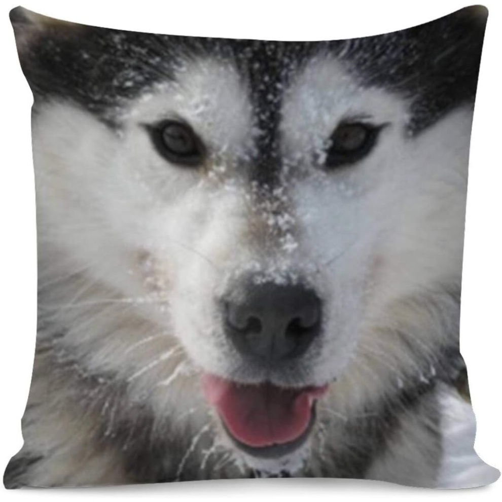 Black Cat Printed Throw Pillow Covers Home Bedroom Living Room Decorative Gifts Square Pillow Case, 18" x 18"-Cute Husky-image-OPC-PCRRSQF-NEW