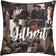 Gilbert Blythe Multipurpose Pillowcase Soft Throw Pillow Cases Cushion Covers for Driving, Reading, Tv, Sleeping, Working, Heating, Your Bodyguard