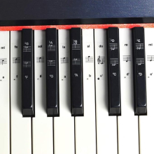 Piano and Keyboard Music Note Full Set Stickers for 88/61/54/37/32 Kids Children