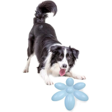 6-Meal Puppy Cat, Dog, Pet, Litter Food Feeding Weaning Feeder Bowl Dish Puppy Food Feeder Dispenser Bowl