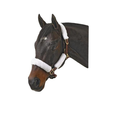 Halter Kit, Navy