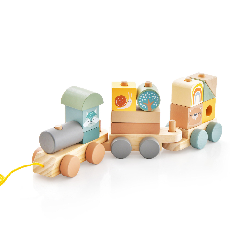 3-Section Wooden Train Toy Set with Stackable Blocks Animal Patterns