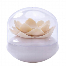 1 Pcs Flower Pattern Cotton Swab Holder Storage Container Toothpick Organizer Tube With Dust Cover Plastic Toothpick Storage Box