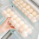 Egg Carton With Lid Safe And Durable 14 Grid Egg Storage Box Easy To Use Home Transparent Egg Storage Container 5