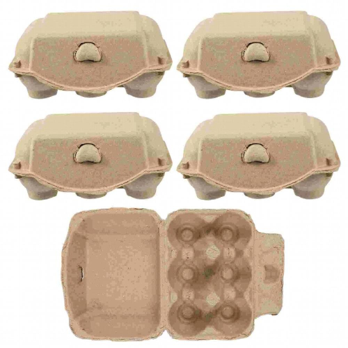5 pcs Egg Cartons Egg Basket Eggs Holder Chicken for Chicken Egg Storage Rack Egg Storage Tray