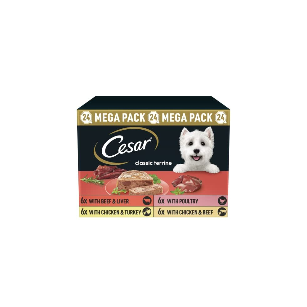 Cesar Country Stew Dog Food, Chicken and Vegetable, 24 x 150 g