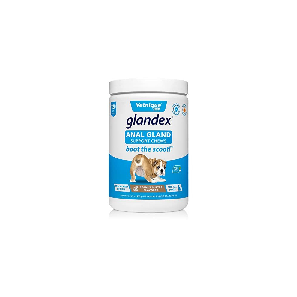 Glandex Fibre Supplements Dog Soft Chews with Pumpkin for Dogs, Digestive Enzyme & Probiotic - Vet Recommended to Boot the Scoot (120ct Chew)