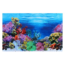 Buy Cheap Aquarium Backgrounds at OnBuy 🌟 Cashback on Every Order