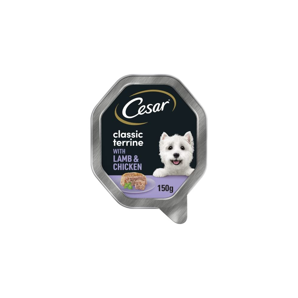 Cesar Classics Terrine - Wet Dog Food for Adult Dogs - Tray with Lamb and Chicken in Jelly - 14 x 150 g