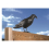 Pigeon scarer crow black garden ornament 2