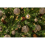 christmas balls 4-6 cm silver 100 pieces 3