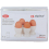 Alpina Egg Cup White 4pcs 3