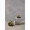 Premier Housewares Fiori Mixed Succulent In Small Glass Pot 2
