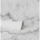 Crown Crown Marble Silver Wallpaper M1584 2