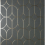 Fine Decor Platinum Rosco Trellis Charcoal Wallpaper 3